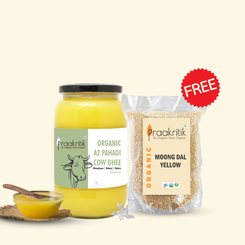 Desi Organic A2 Pahadi Ghee 1 Litre + Moong Dal Yellow 500 gms Free